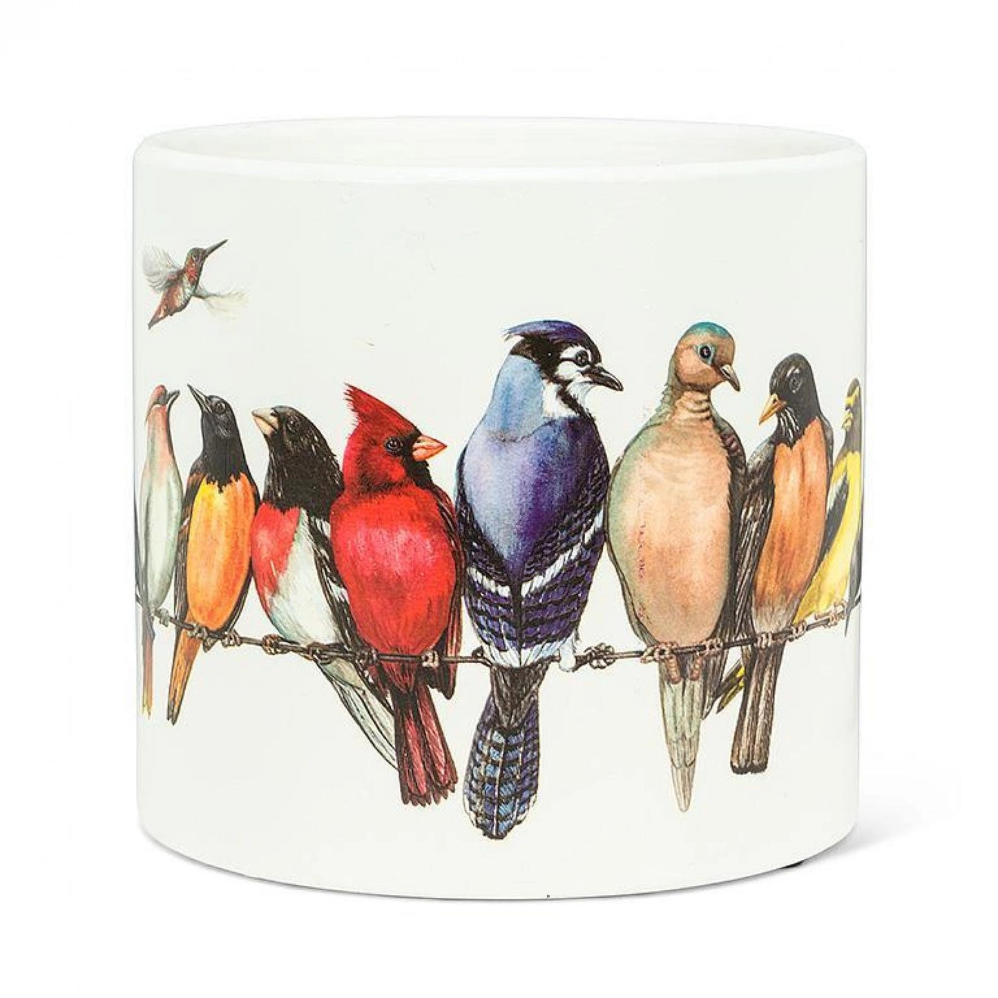 Ceramic planter with illustrations of various birds on a wire