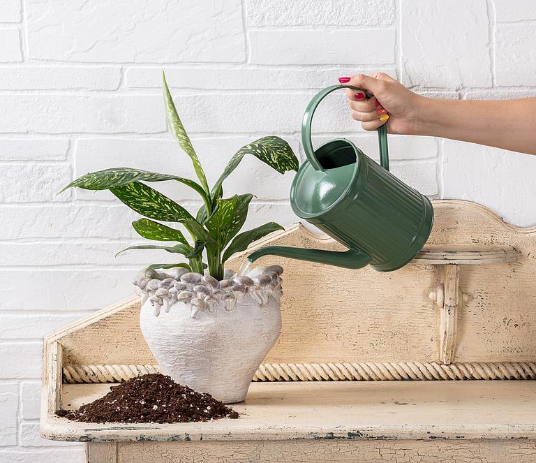 Person watering a plant with a green watering can on a wooden surface.