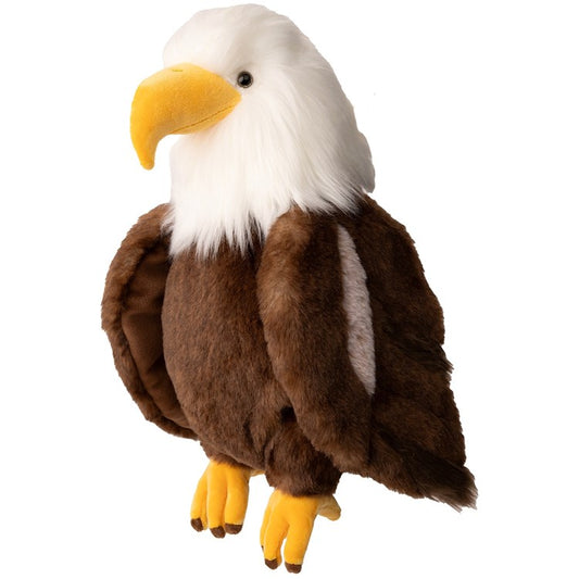 Bukowski Bears Scout the Eagle