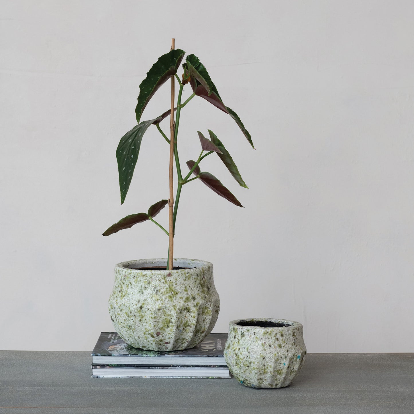 Green Terracotta Planter