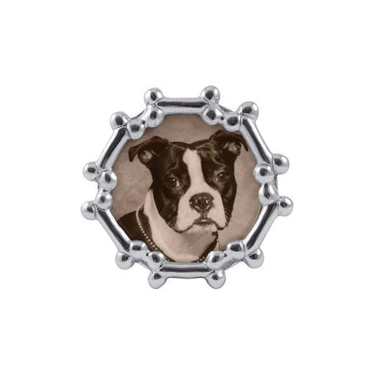 silver round picture frame circled in dog bones
