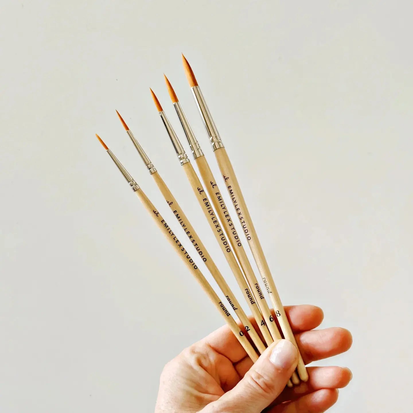 Emily Lex Studio set/5 Paintbrush Set