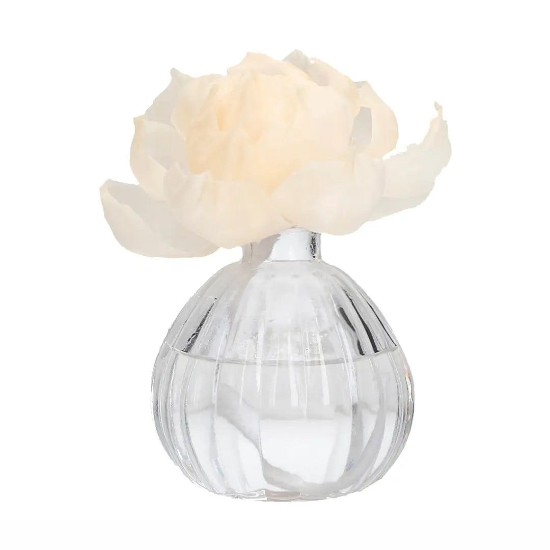 Clear glass vase with a white flower diffuser 