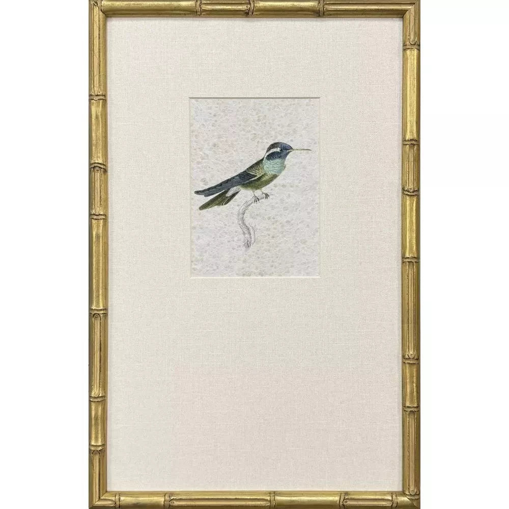 Antique Hummingbirds-3 Framed Print by Paragon