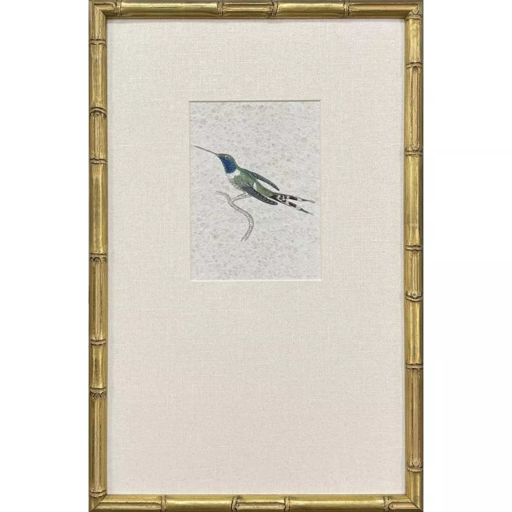 Antique Hummingbirds-2 Framed Print by Paragon