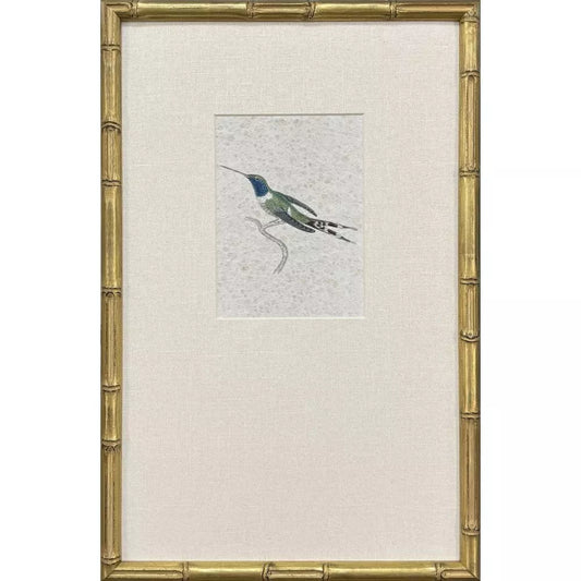 Antique Hummingbirds-2 Framed Print by Paragon