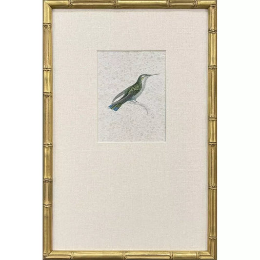Antique Hummingbirds-4 Framed Print by Paragon