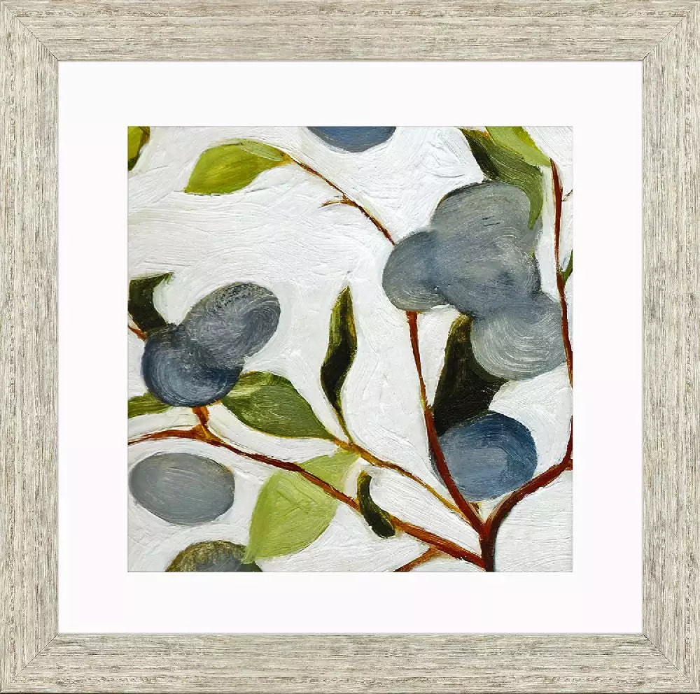 Olive Branches II-1 Framed Print by Paragon