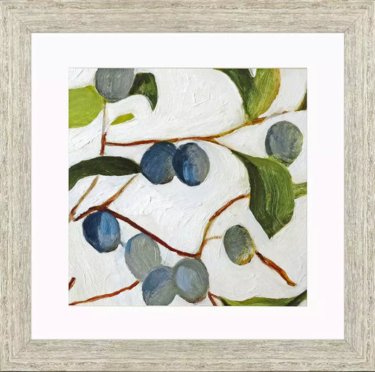 Olive Branches II-2 Framed Print by Paragon