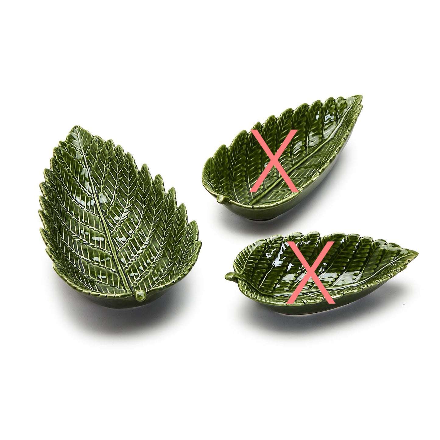 Fern Plate Large